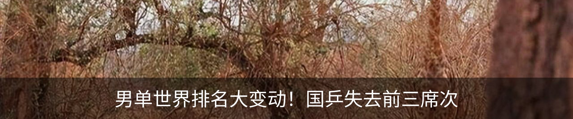 新闻动态